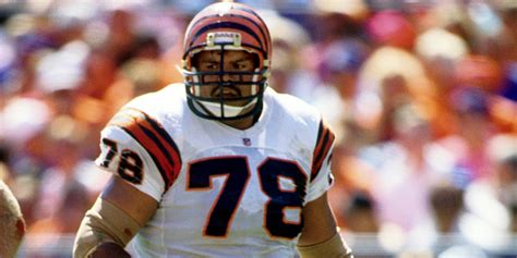Best Cincinnati Bengals Posts .